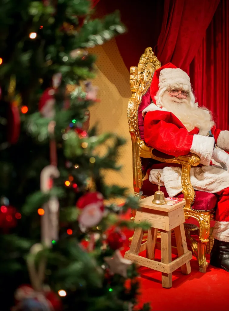 OFFERTA “EMOZIONI DI NATALE”